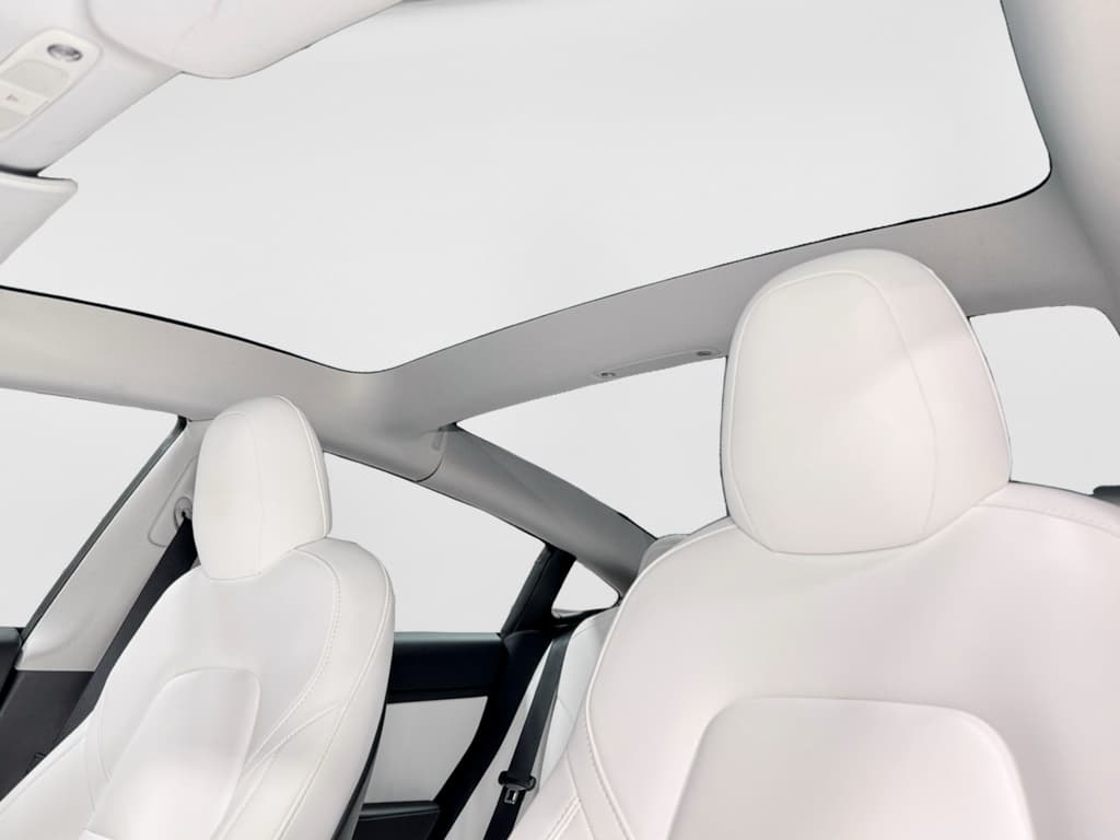 2021 Tesla Model 3 view 20