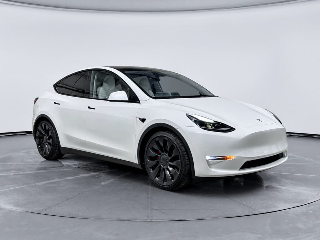 2023 Tesla Model Y view 4