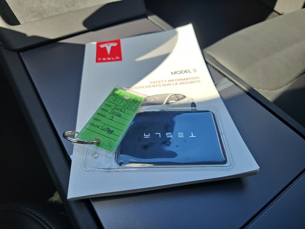 2025 Tesla Model 3 view 22