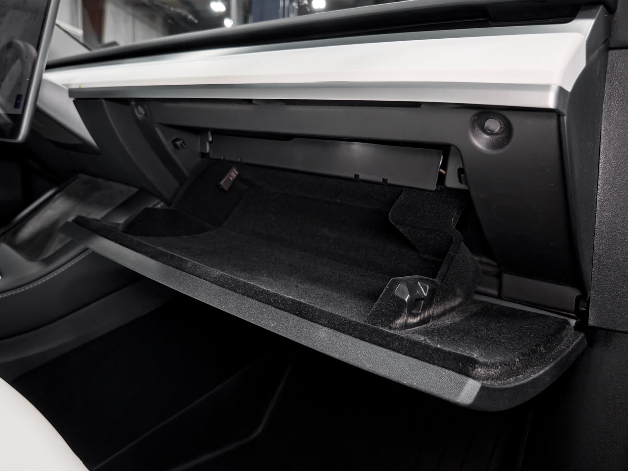 2023 Tesla Model Y view 18