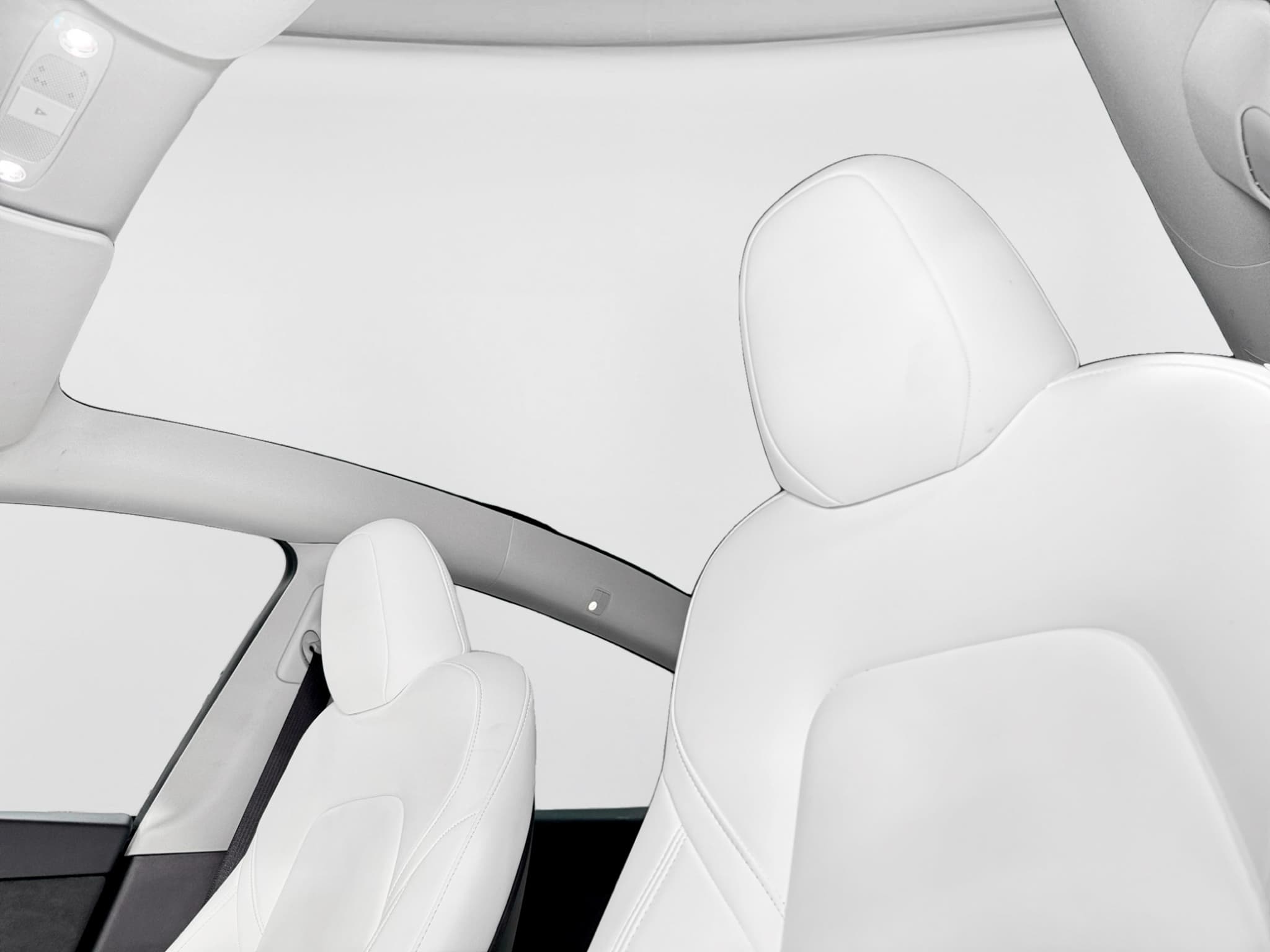 2023 Tesla Model Y view 22