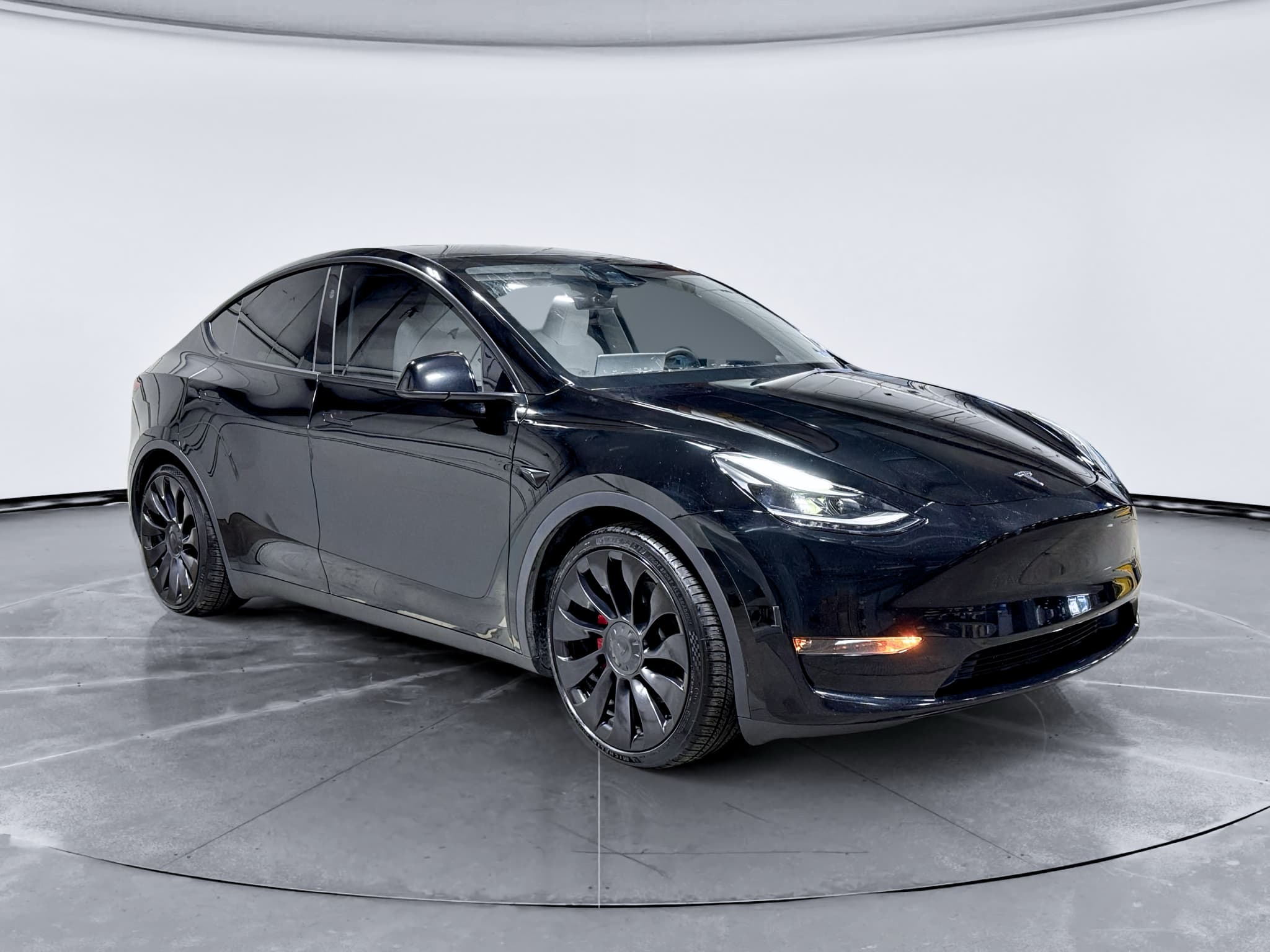 2023 Tesla Model Y view 4