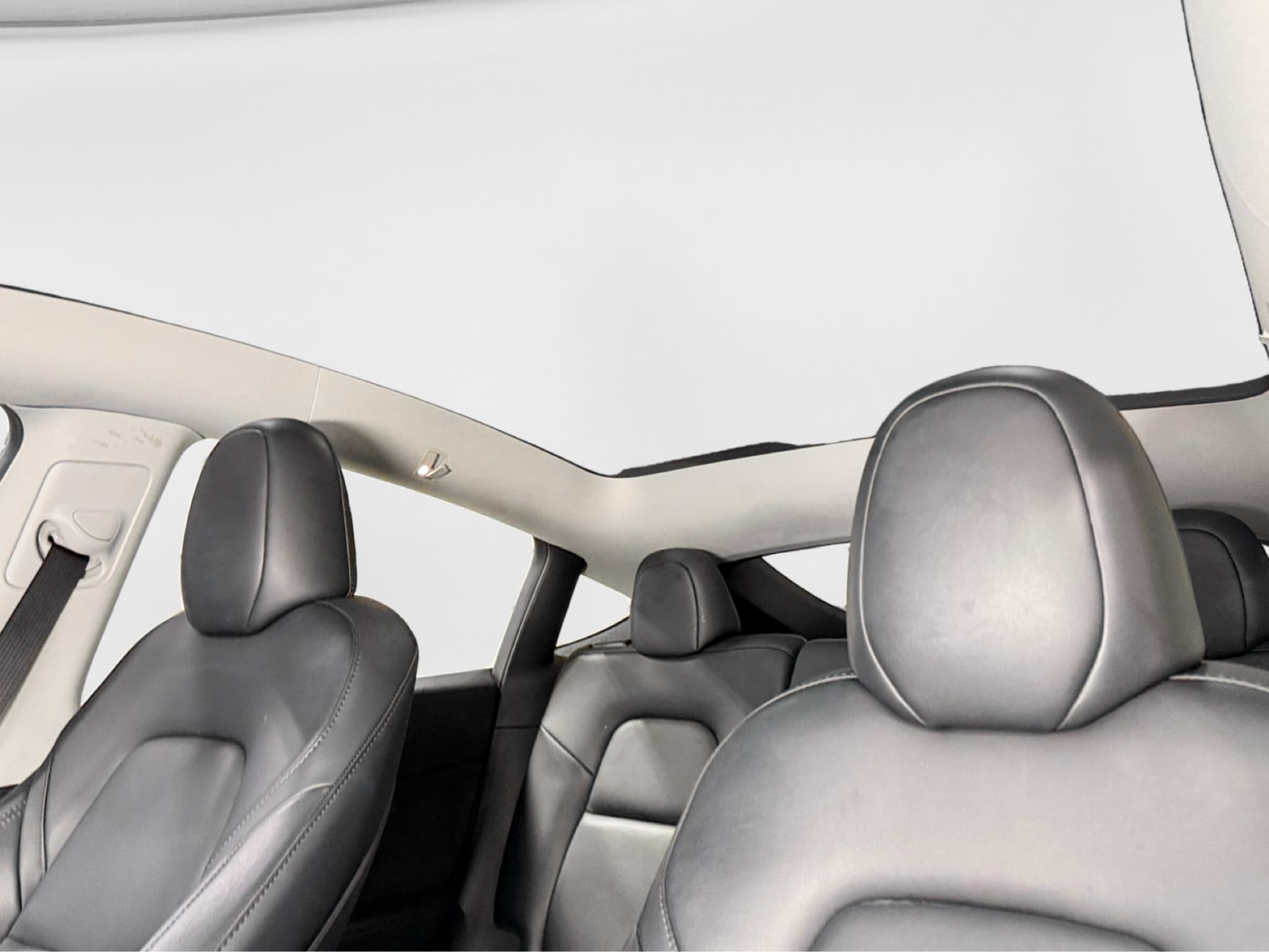 2023 Tesla Model Y view 24