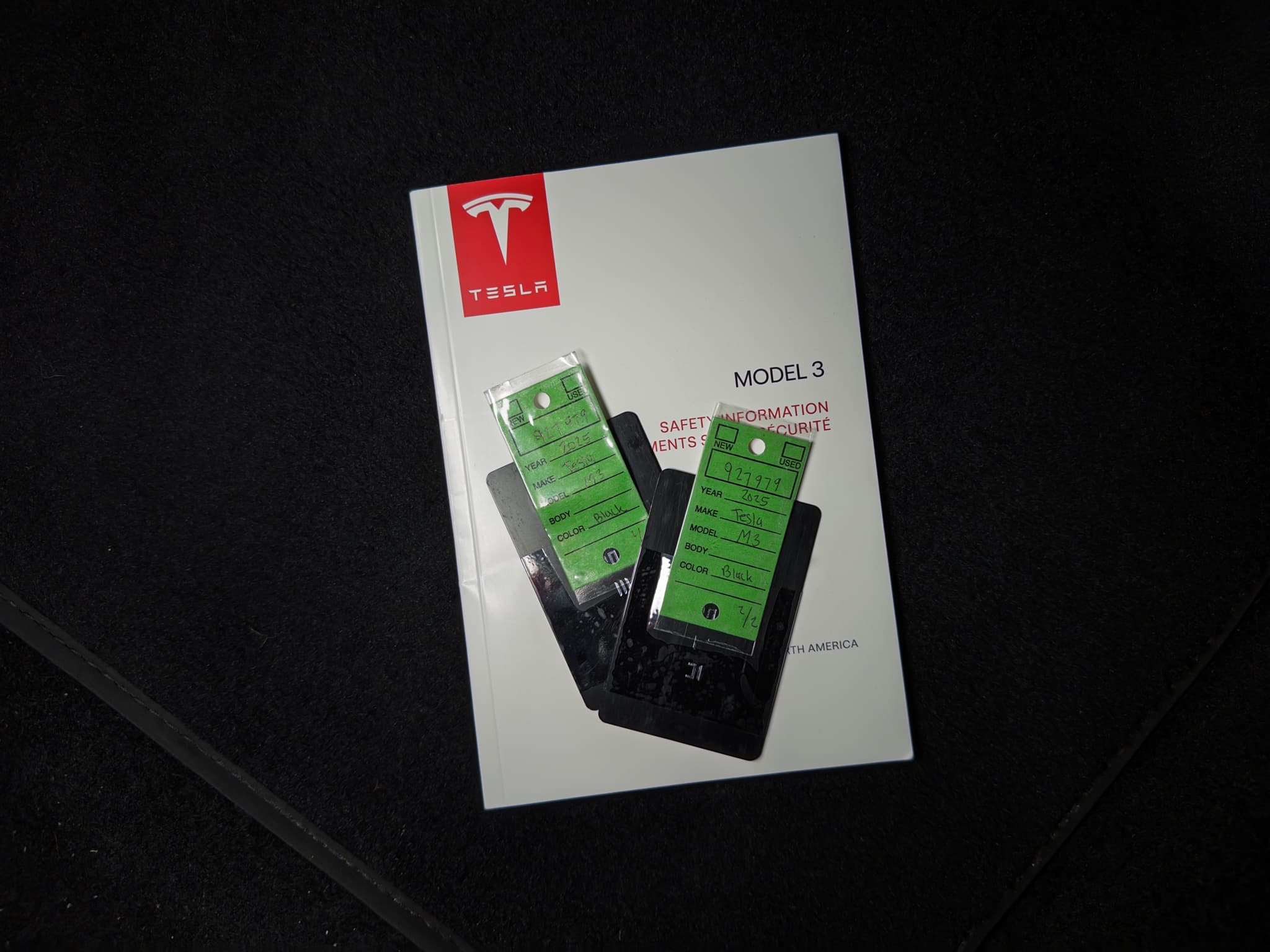 2025 Tesla Model 3 view 22