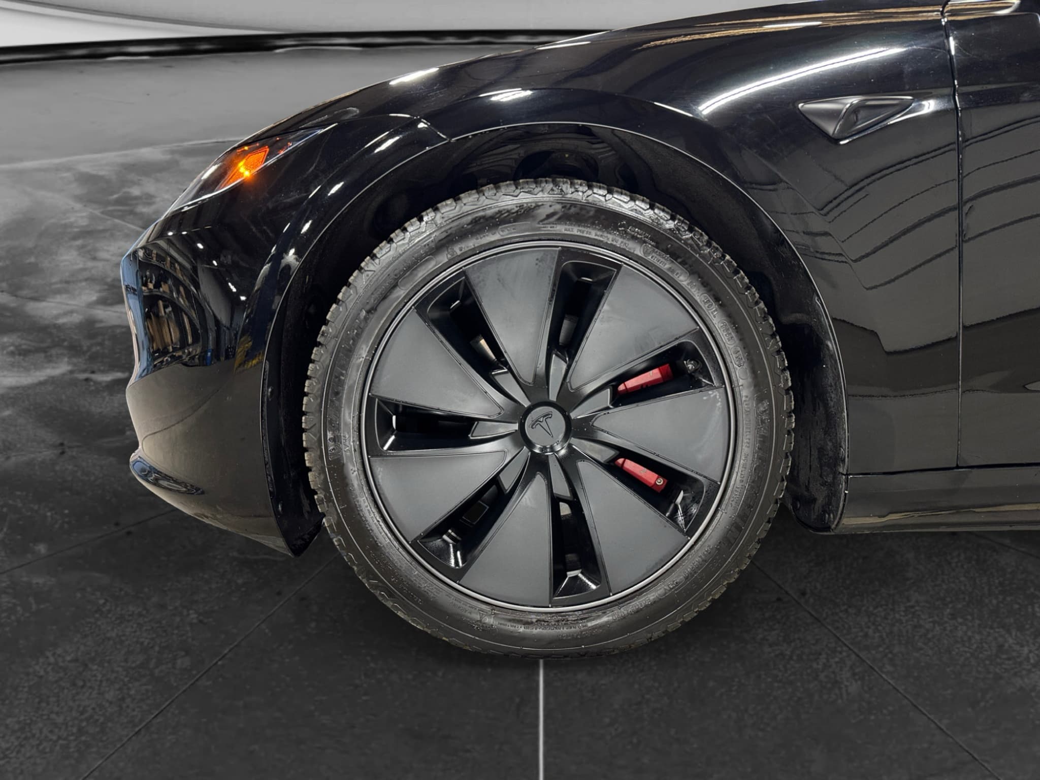 2025 Tesla Model 3 view 30
