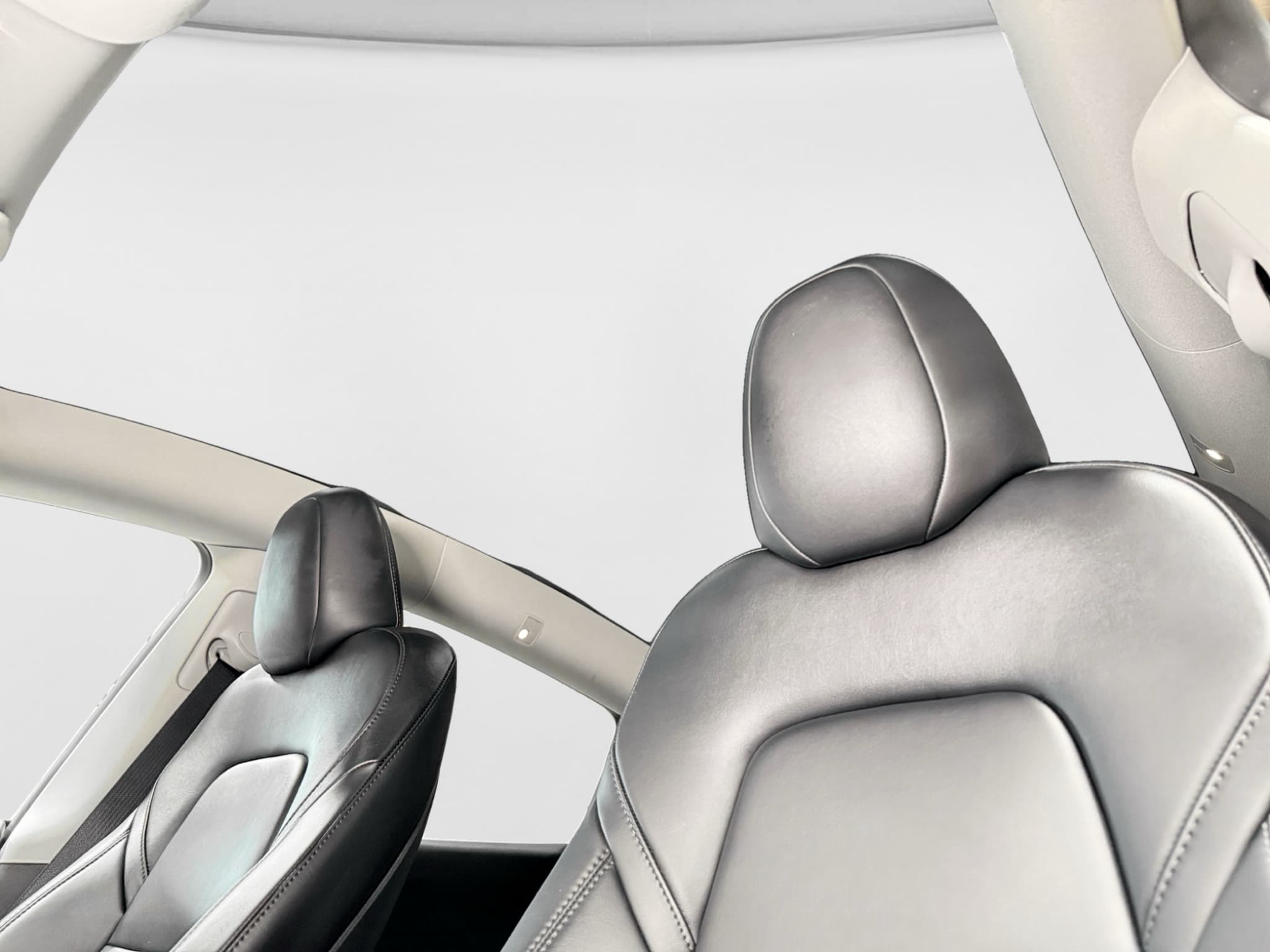 2023 Tesla Model Y view 23