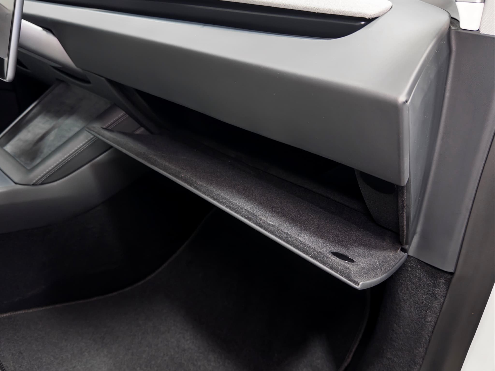 2025 Tesla Model 3 view 19
