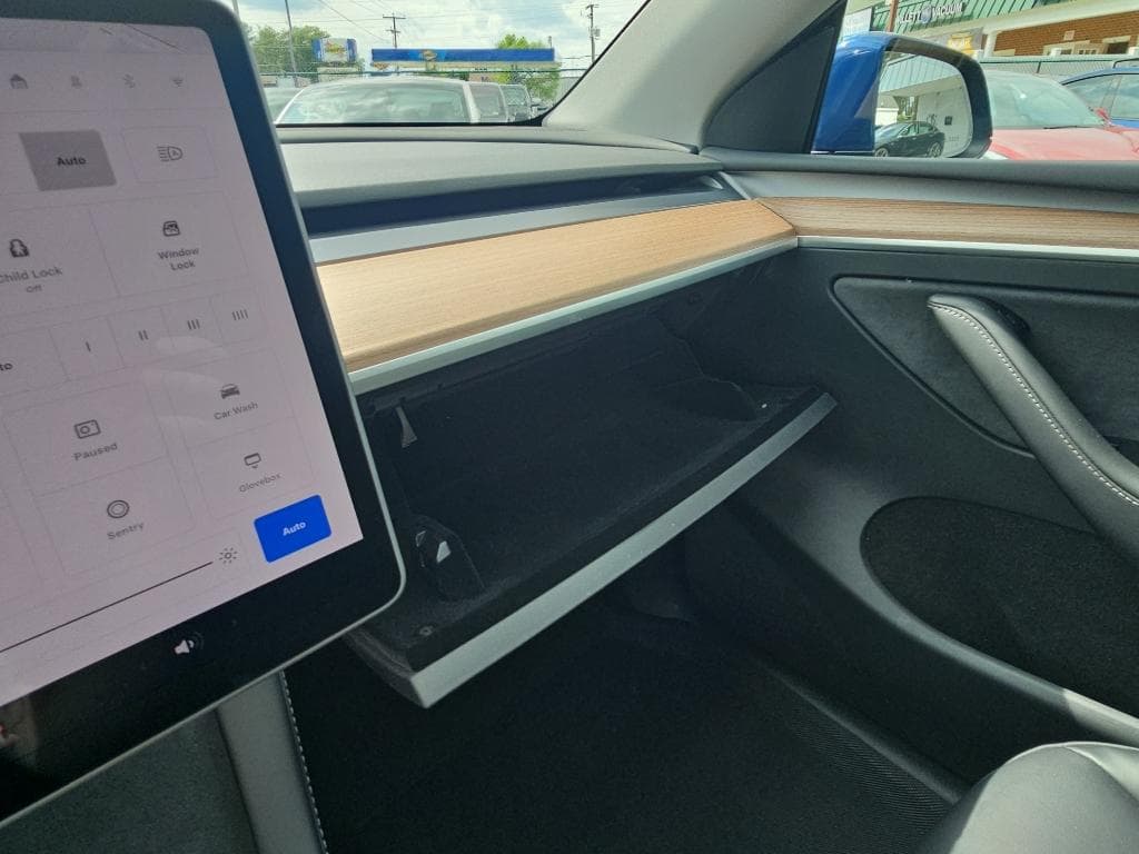 2023 Tesla Model Y view 14