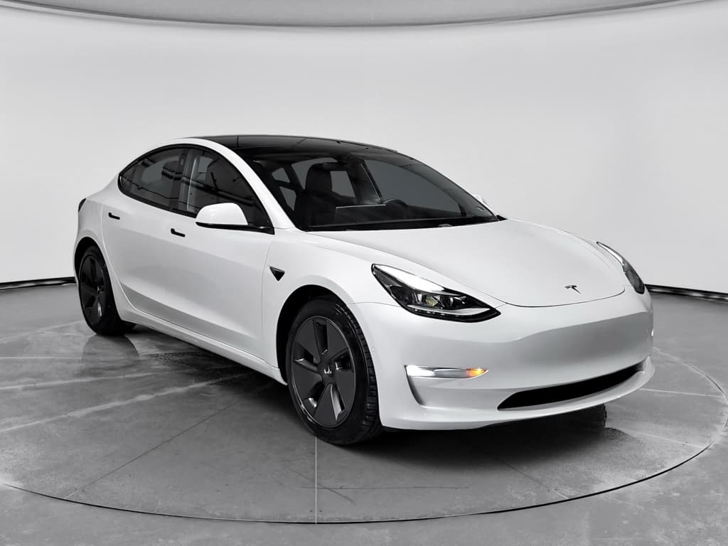 2021 Tesla Model 3 view 4