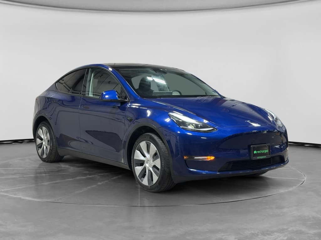2023 Tesla Model Y view 4