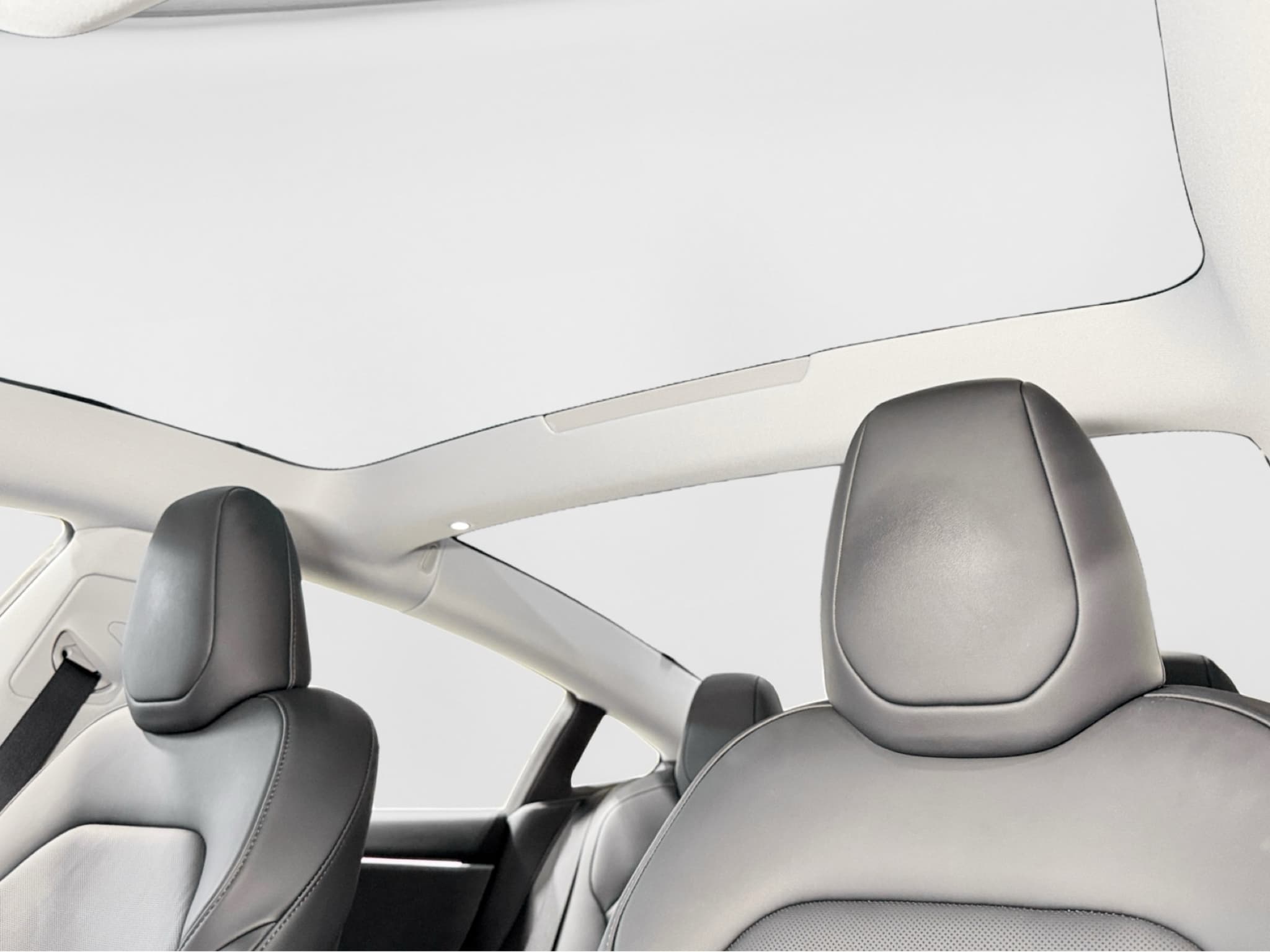 2025 Tesla Model 3 view 23