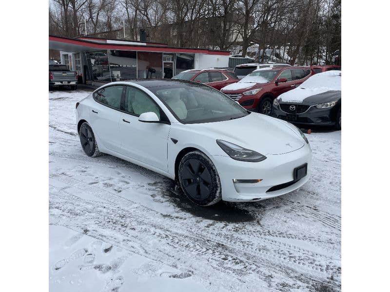 2021 Tesla Model 3 view 4