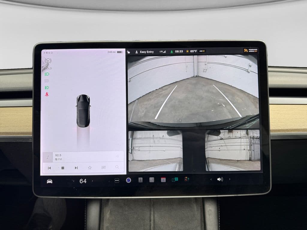 2021 Tesla Model 3 view 11