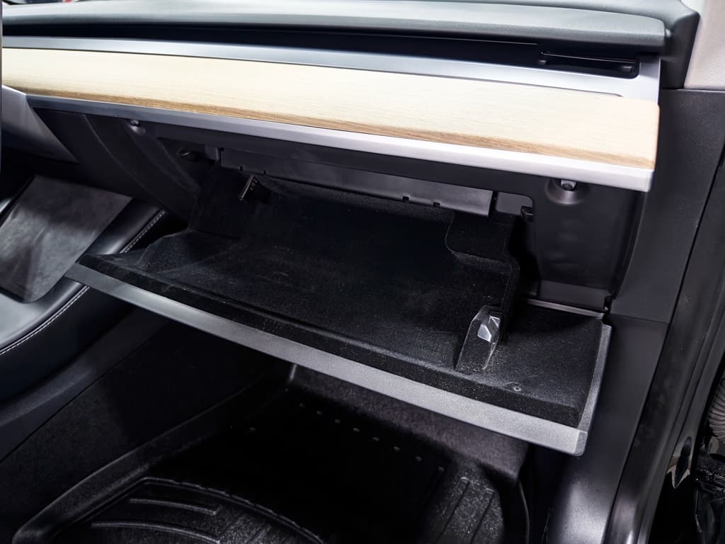 2021 Tesla Model 3 view 19