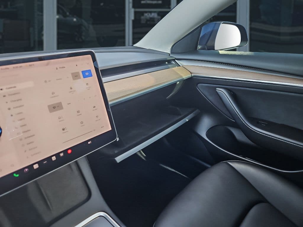 2021 Tesla Model 3 view 16