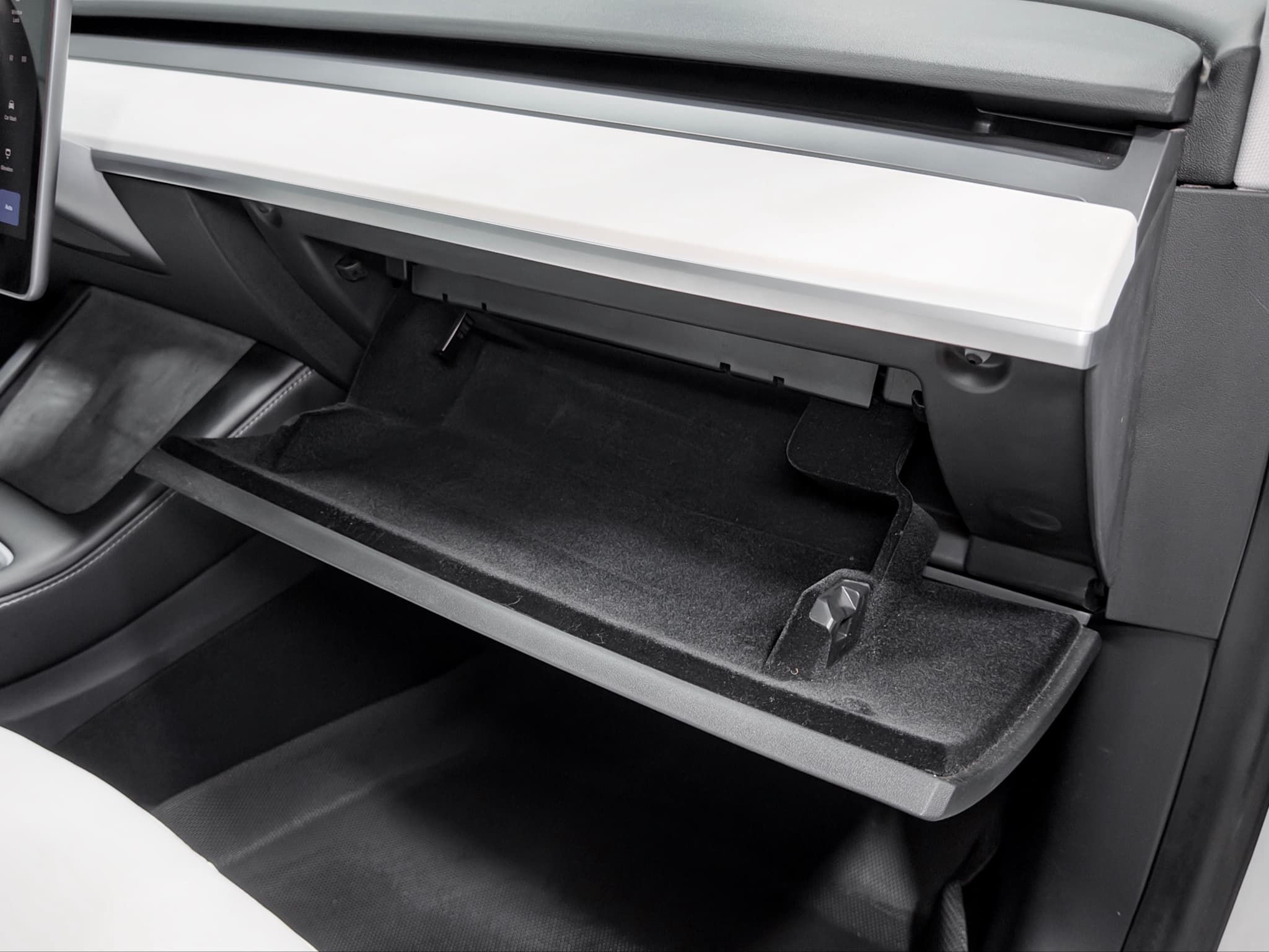 2021 Tesla Model 3 view 20