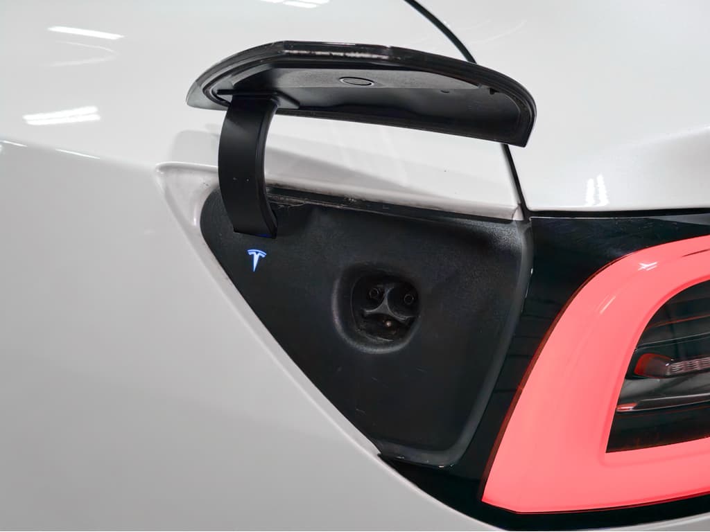 2021 Tesla Model 3 view 5