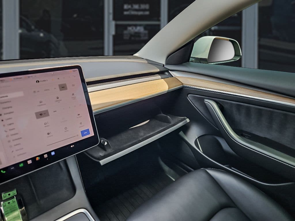 2021 Tesla Model 3 view 16