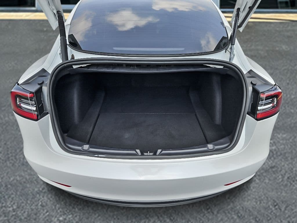 2021 Tesla Model 3 view 20