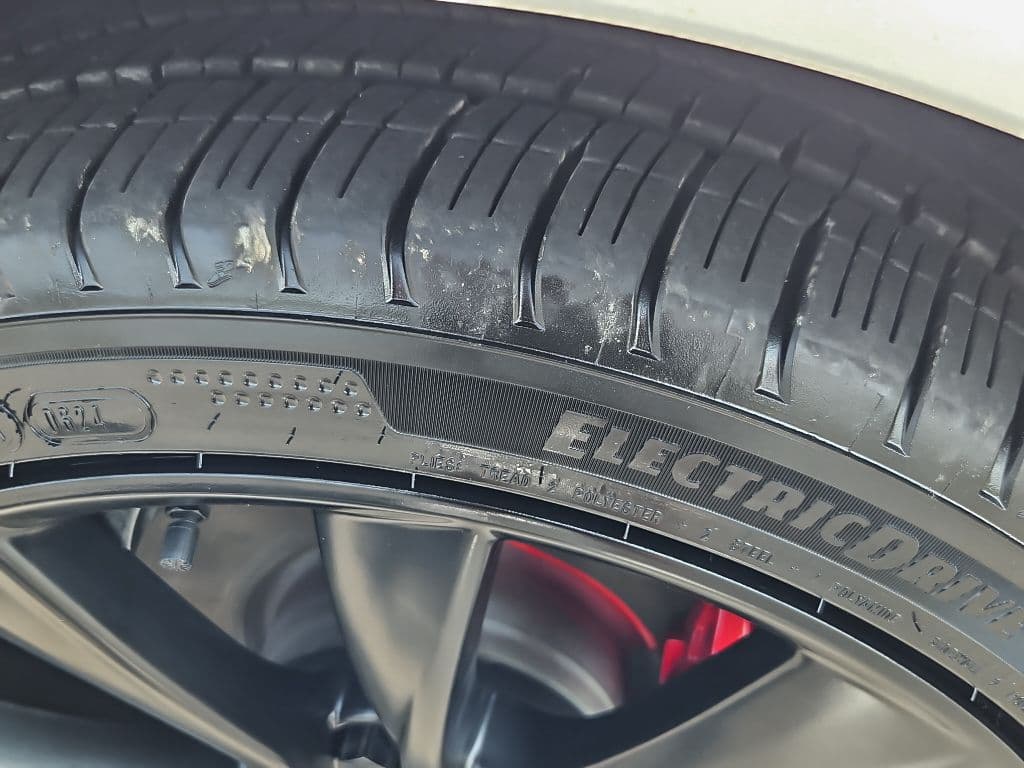 2021 Tesla Model 3 view 25