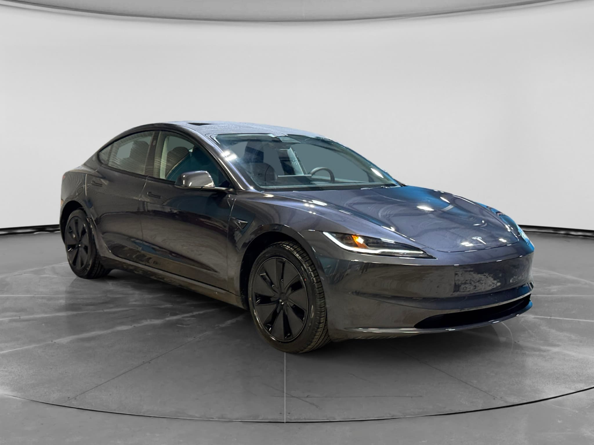 2025 Tesla Model 3 view 4