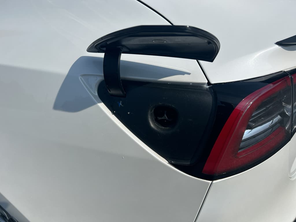 2021 Tesla Model 3 view 5