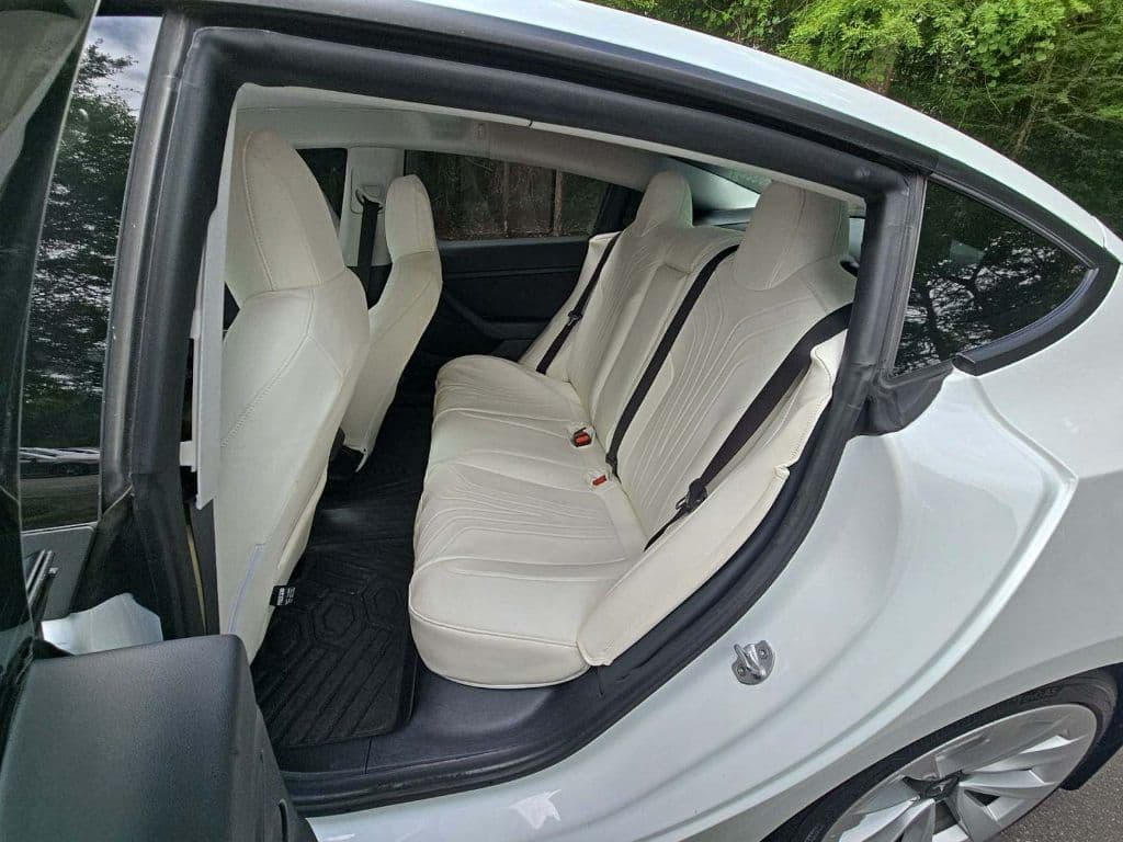 2021 Tesla Model 3 view 6