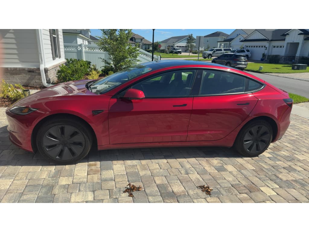 2025 Tesla Model 3 view 2