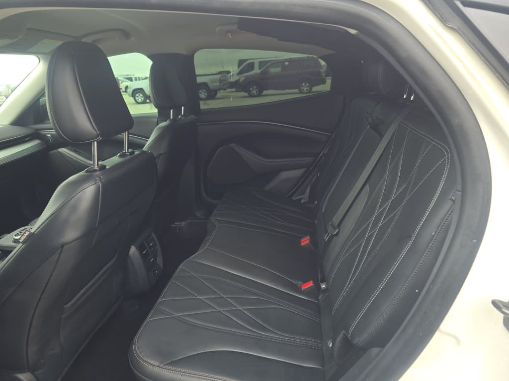 2023 Ford Mustang Mach-E view 6