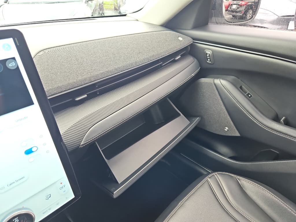 2021 Ford Mustang Mach-E view 14