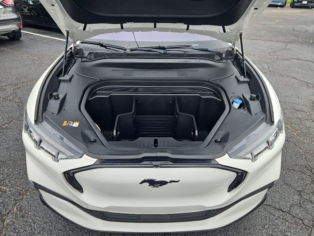 2021 Ford Mustang Mach-E view 19