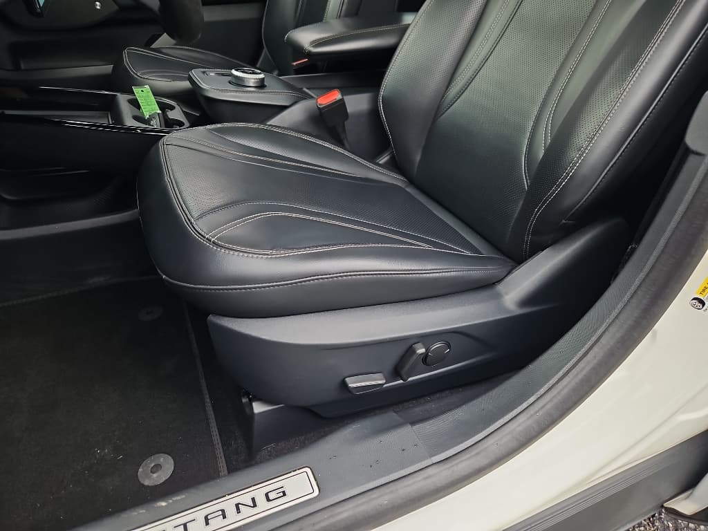 2021 Ford Mustang Mach-E view 7