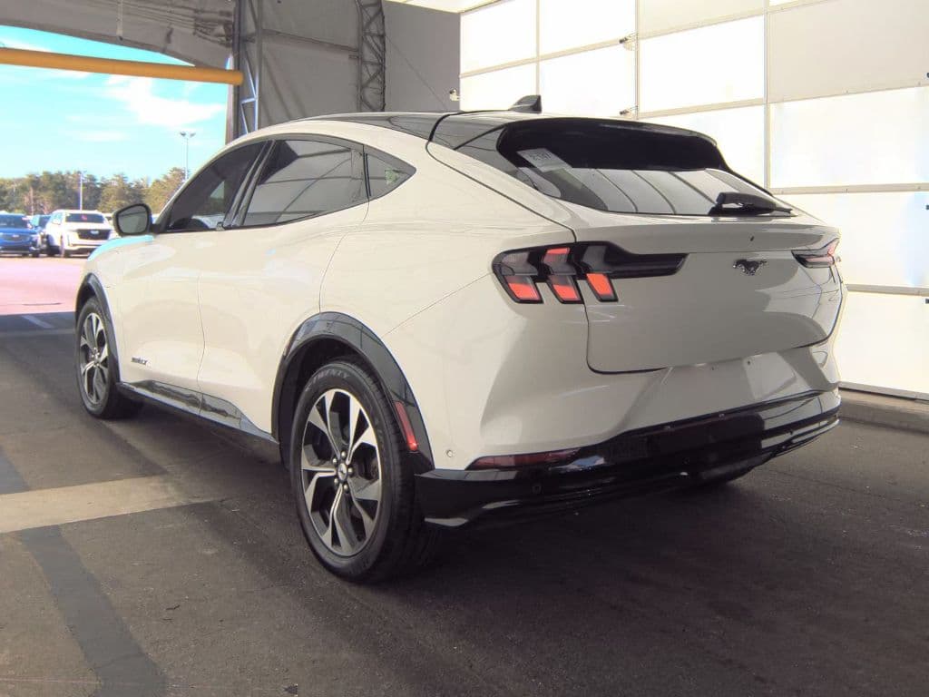 2021 Ford Mustang Mach-E view 6