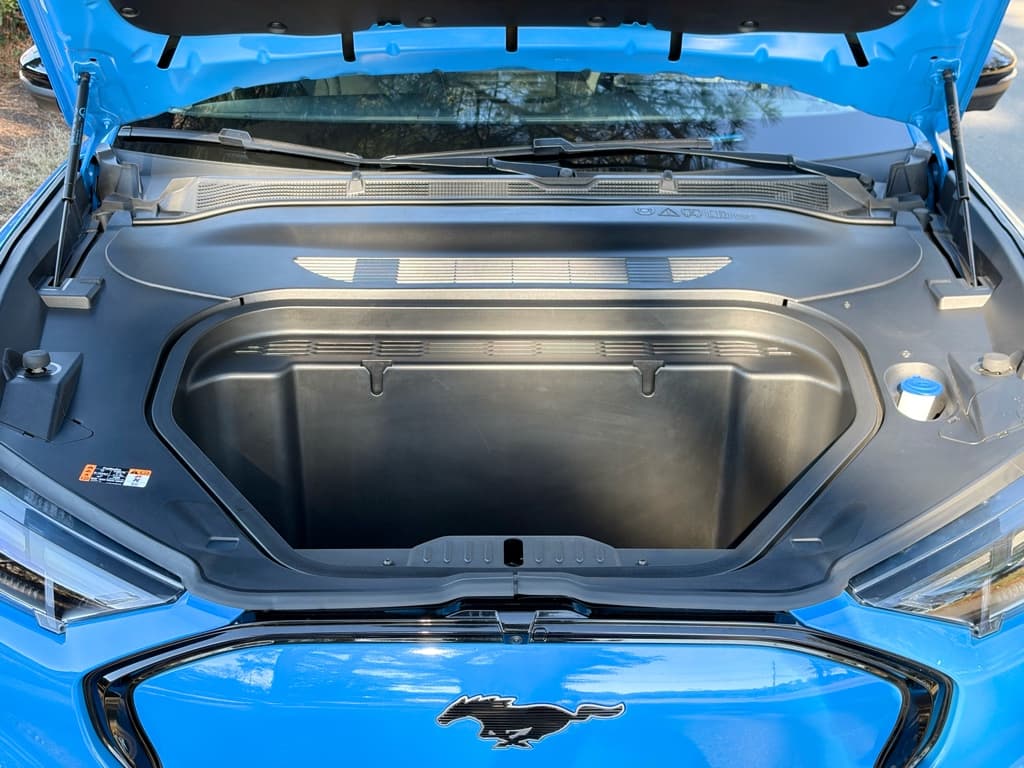 2024 Ford Mustang Mach-E view 25