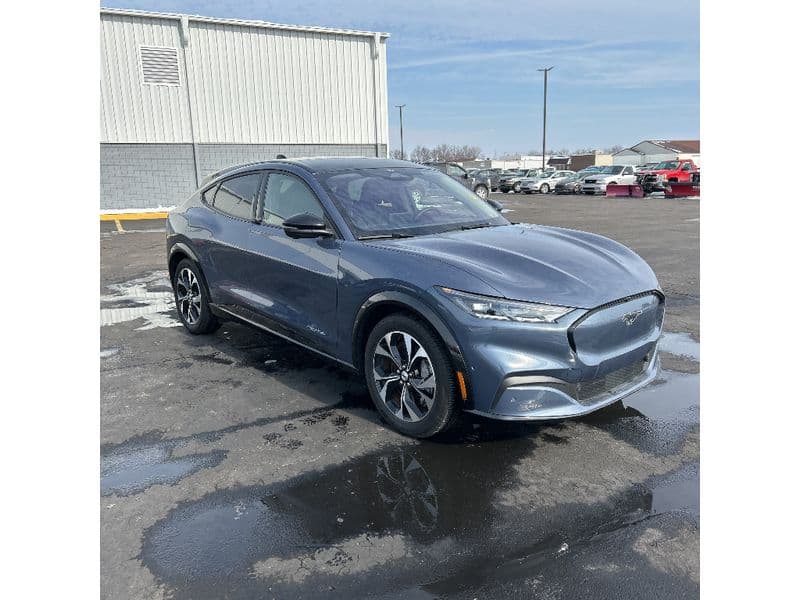 2021 Ford Mustang Mach-E view 2