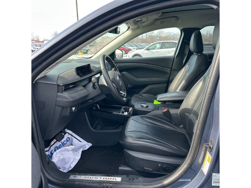 2021 Ford Mustang Mach-E view 5