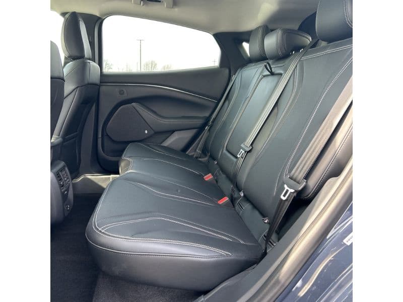 2021 Ford Mustang Mach-E view 6