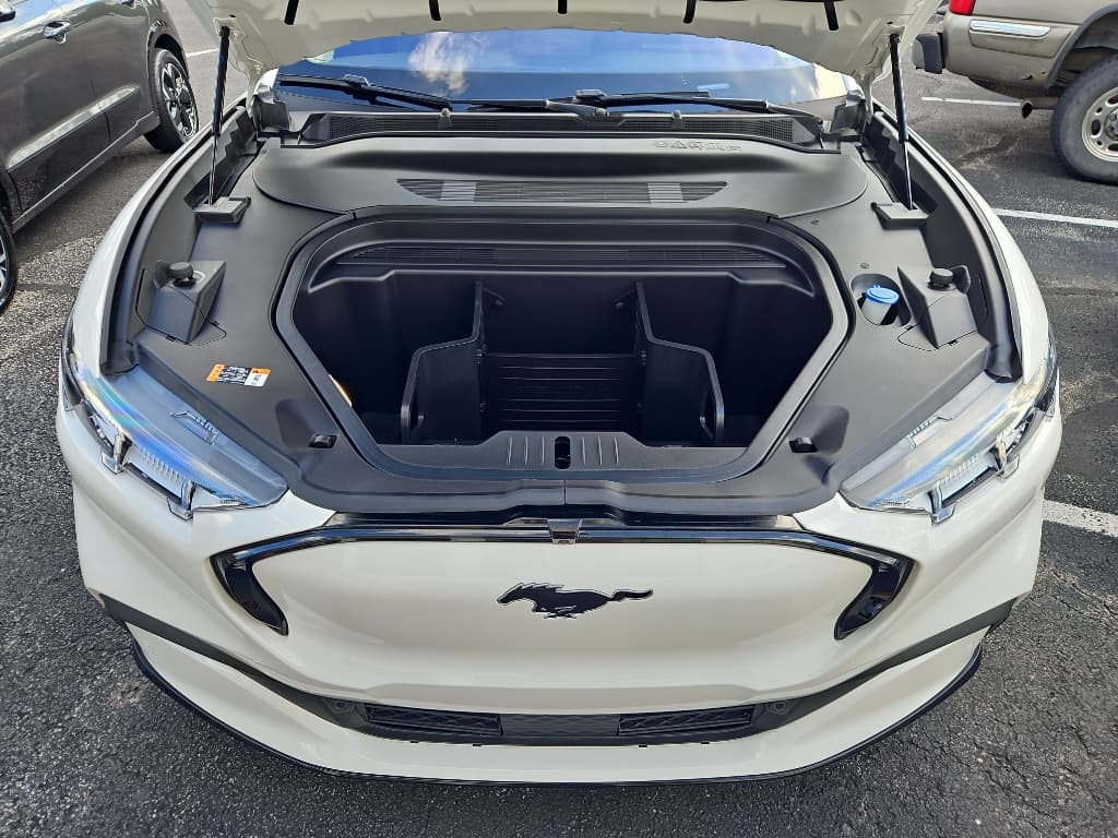 2021 Ford Mustang Mach-E view 23