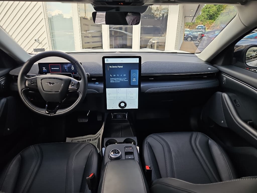 2021 Ford Mustang Mach-E view 15