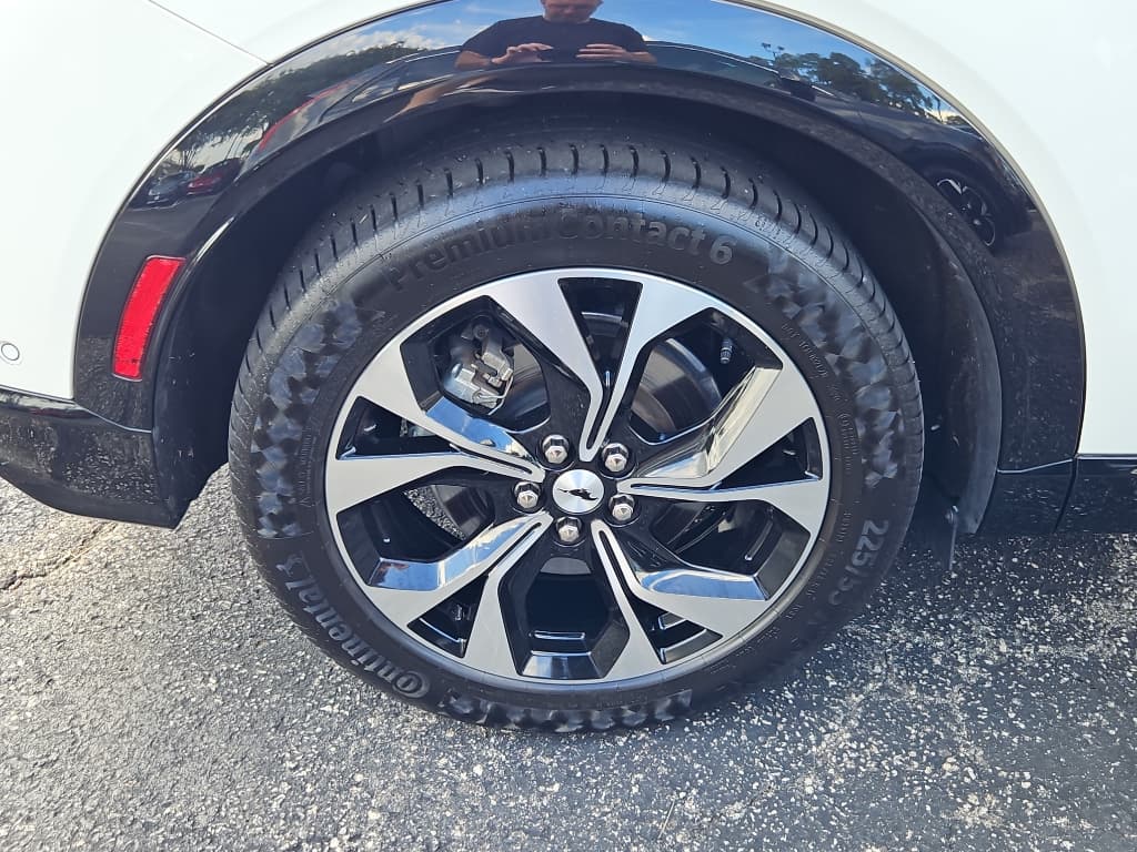 2021 Ford Mustang Mach-E view 31