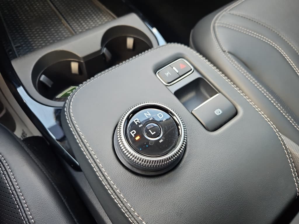 2021 Ford Mustang Mach-E view 18
