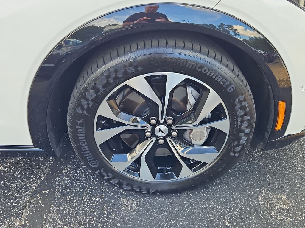 2021 Ford Mustang Mach-E view 33