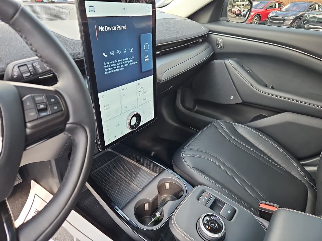 2021 Ford Mustang Mach-E view 17