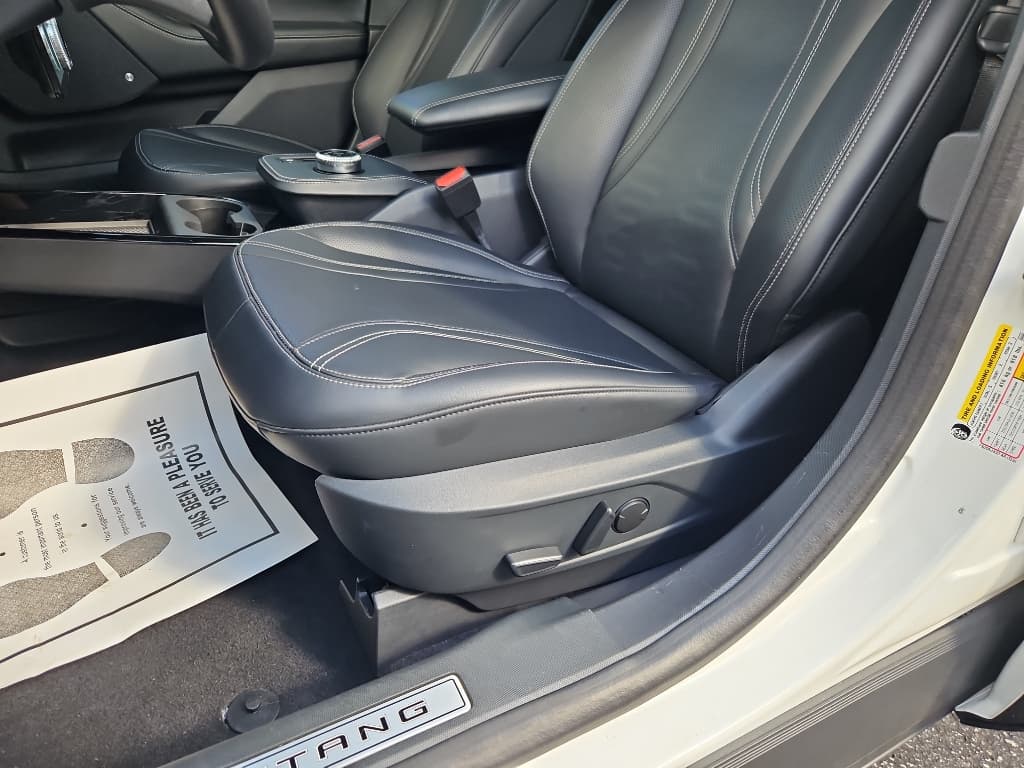2021 Ford Mustang Mach-E view 7