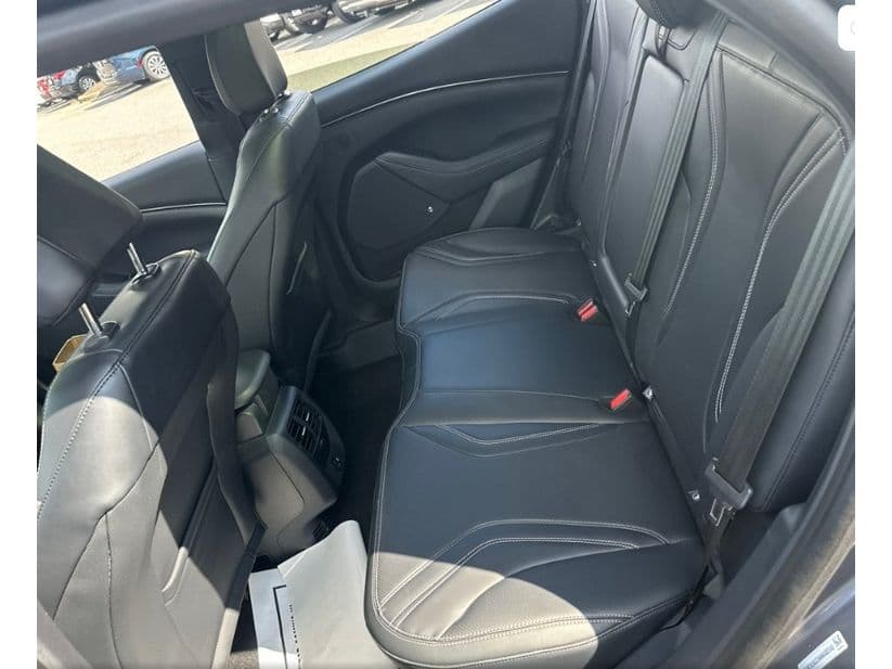 2021 Ford Mustang Mach-E view 9