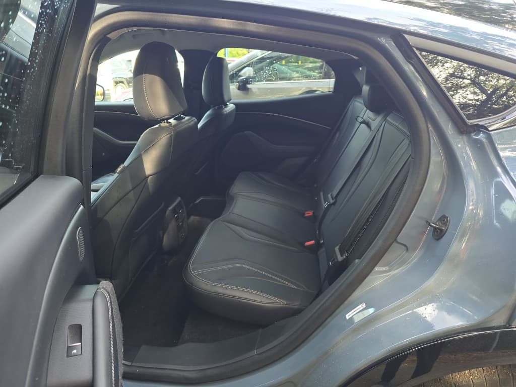 2024 Ford Mustang Mach-E view 6