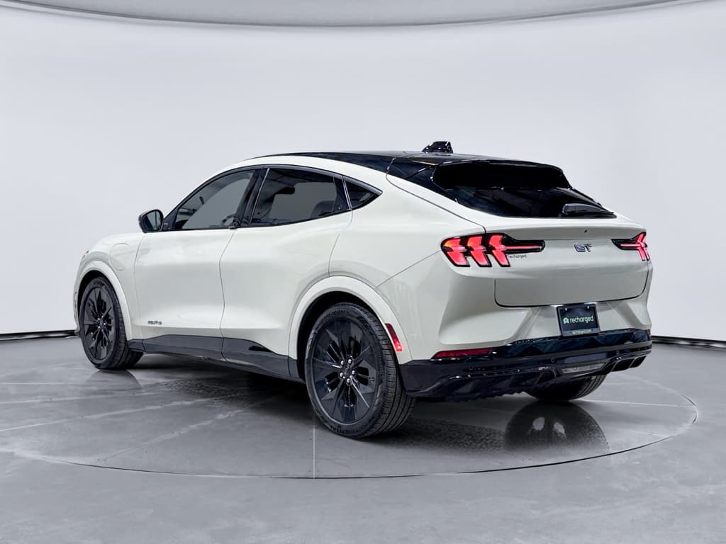 2025 Ford Mustang Mach-E view 2
