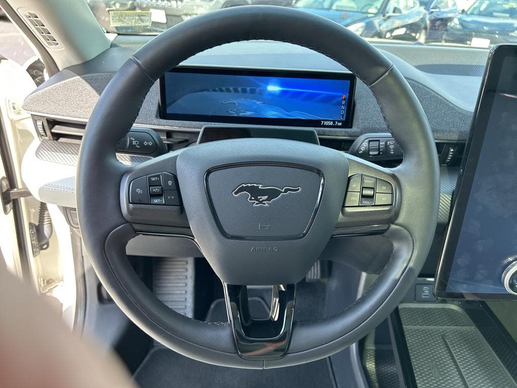 2021 Ford Mustang Mach-E view 7