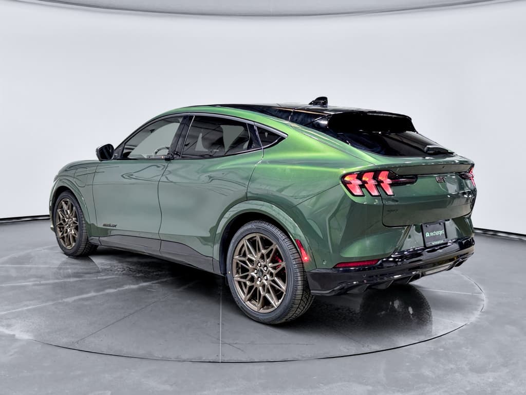2024 Ford Mustang Mach-E view 2