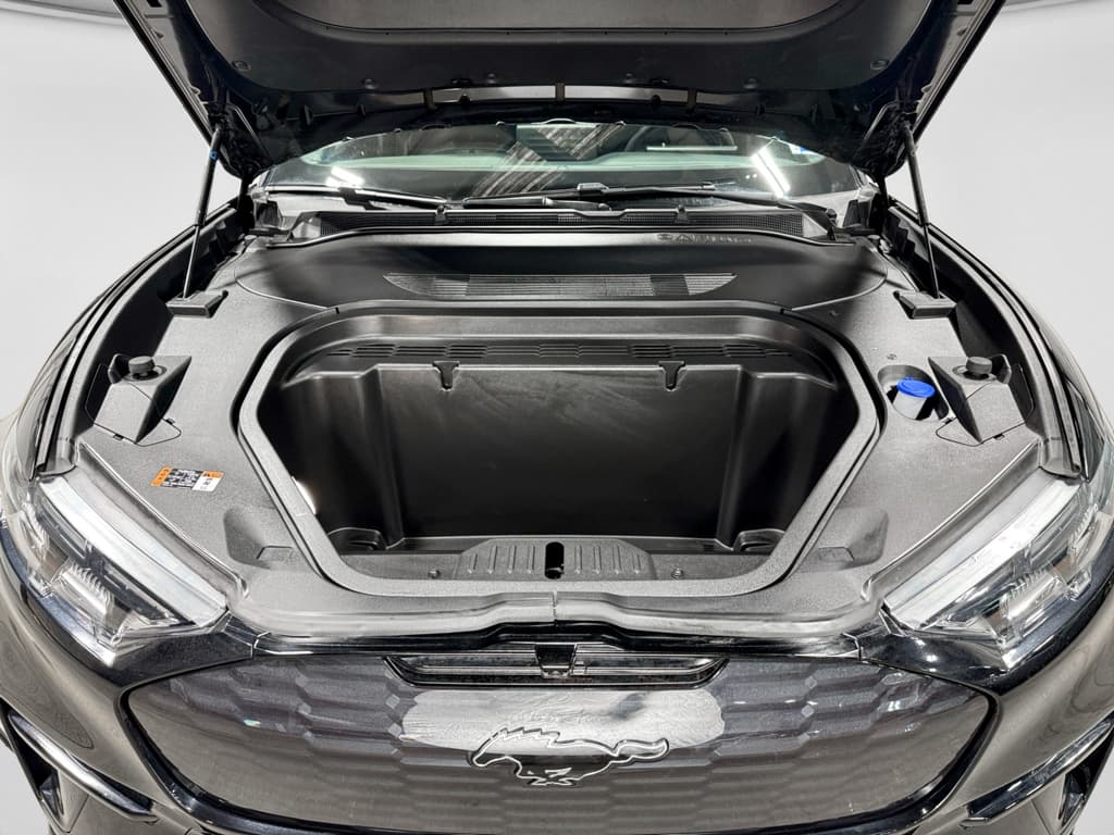 2024 Ford Mustang Mach-E view 24